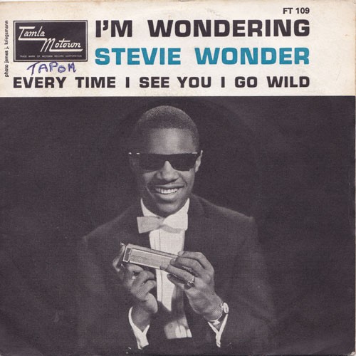 Stevie Wonder